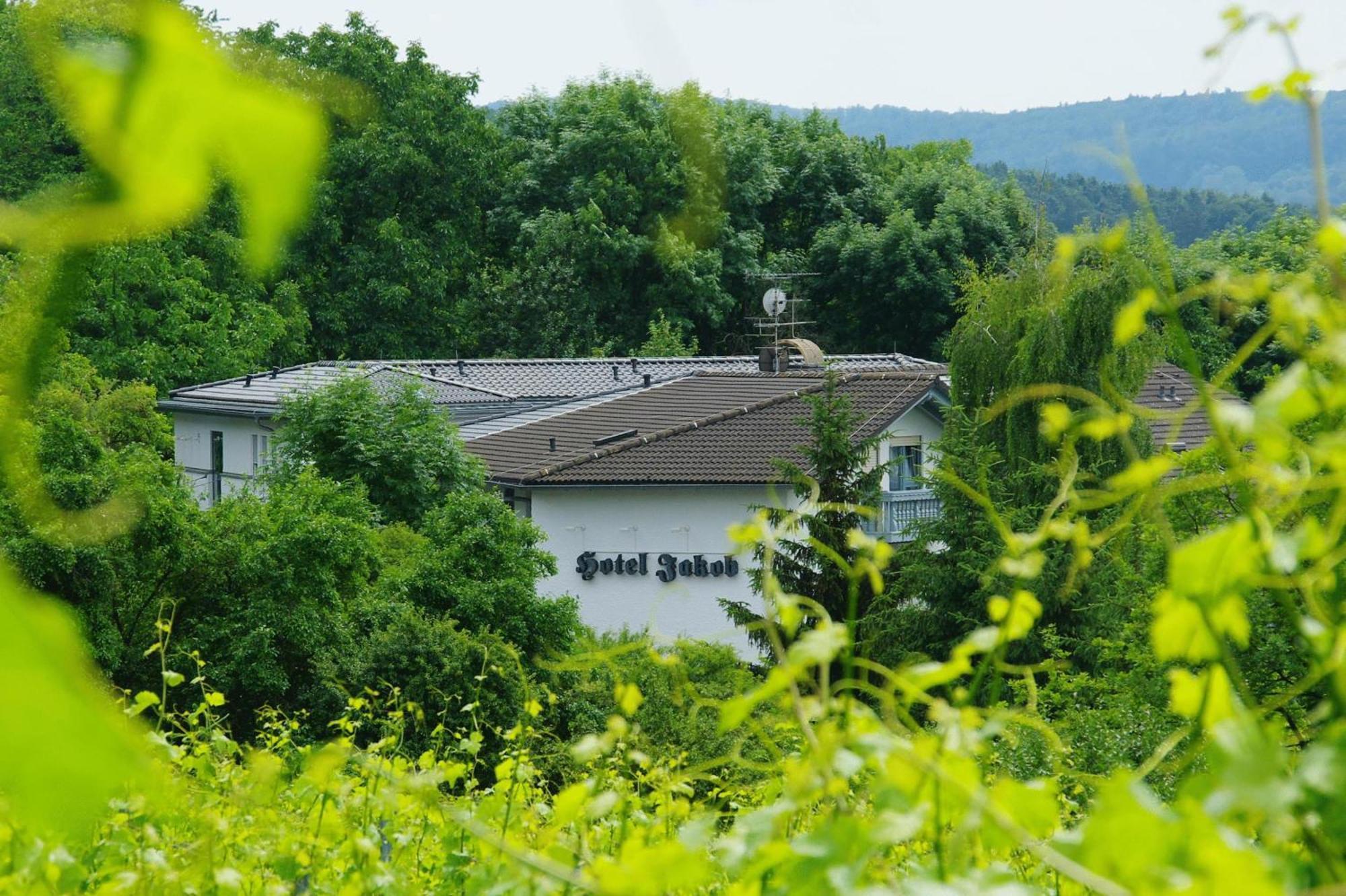 Hotel Jakob Gross-Umstadt Ngoại thất bức ảnh